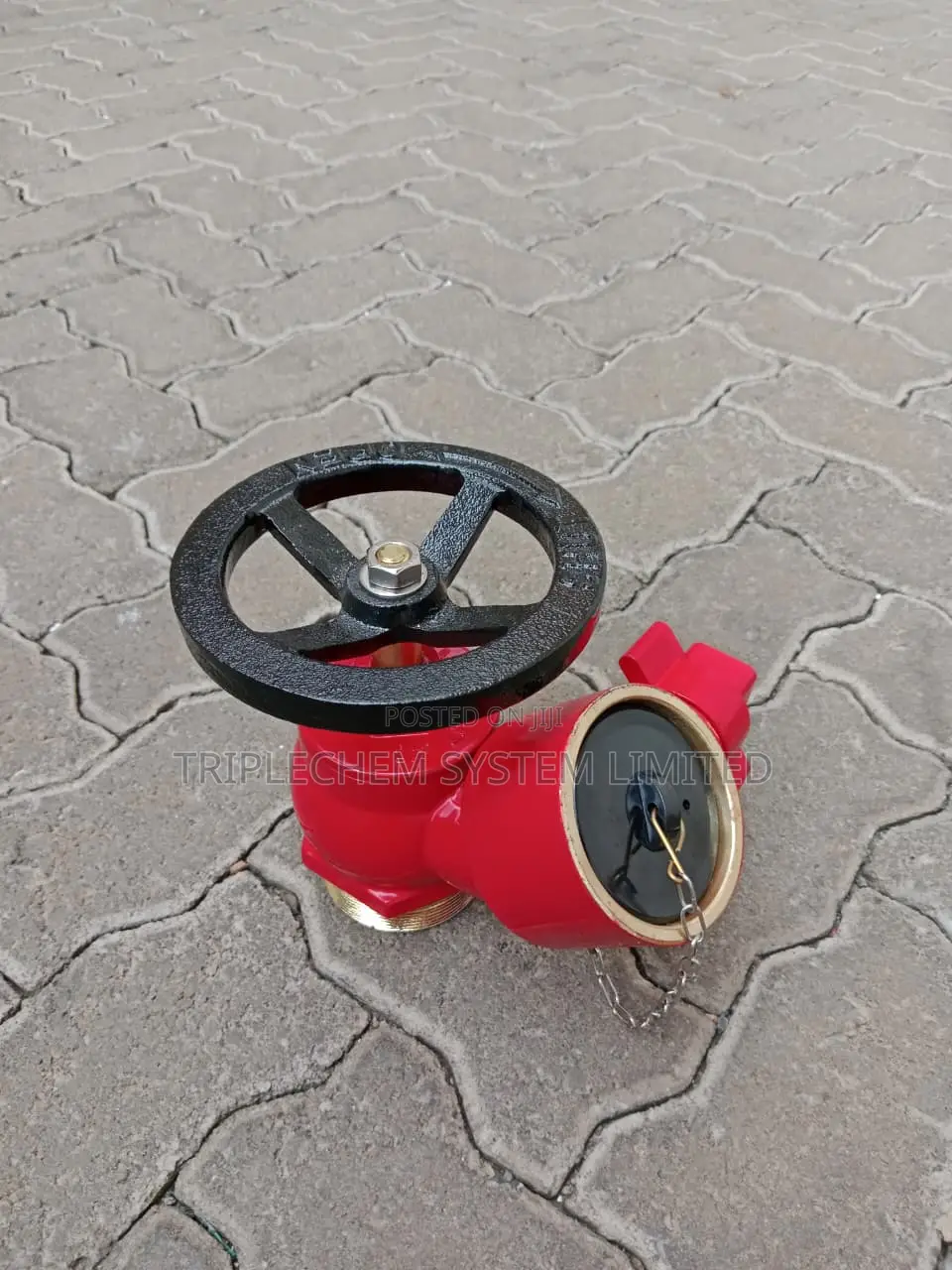 Screw Type Landing Valve