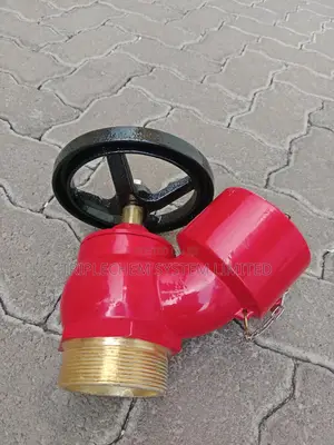Screw Type Landing Valve