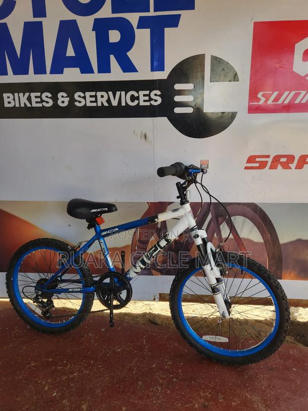 20 Inch Ex Usa Bicycle - thumbnail 2