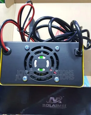 Bolamei Car Battery Charger Fast Charger 12-24 V