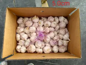 Imported Chinese Garlic