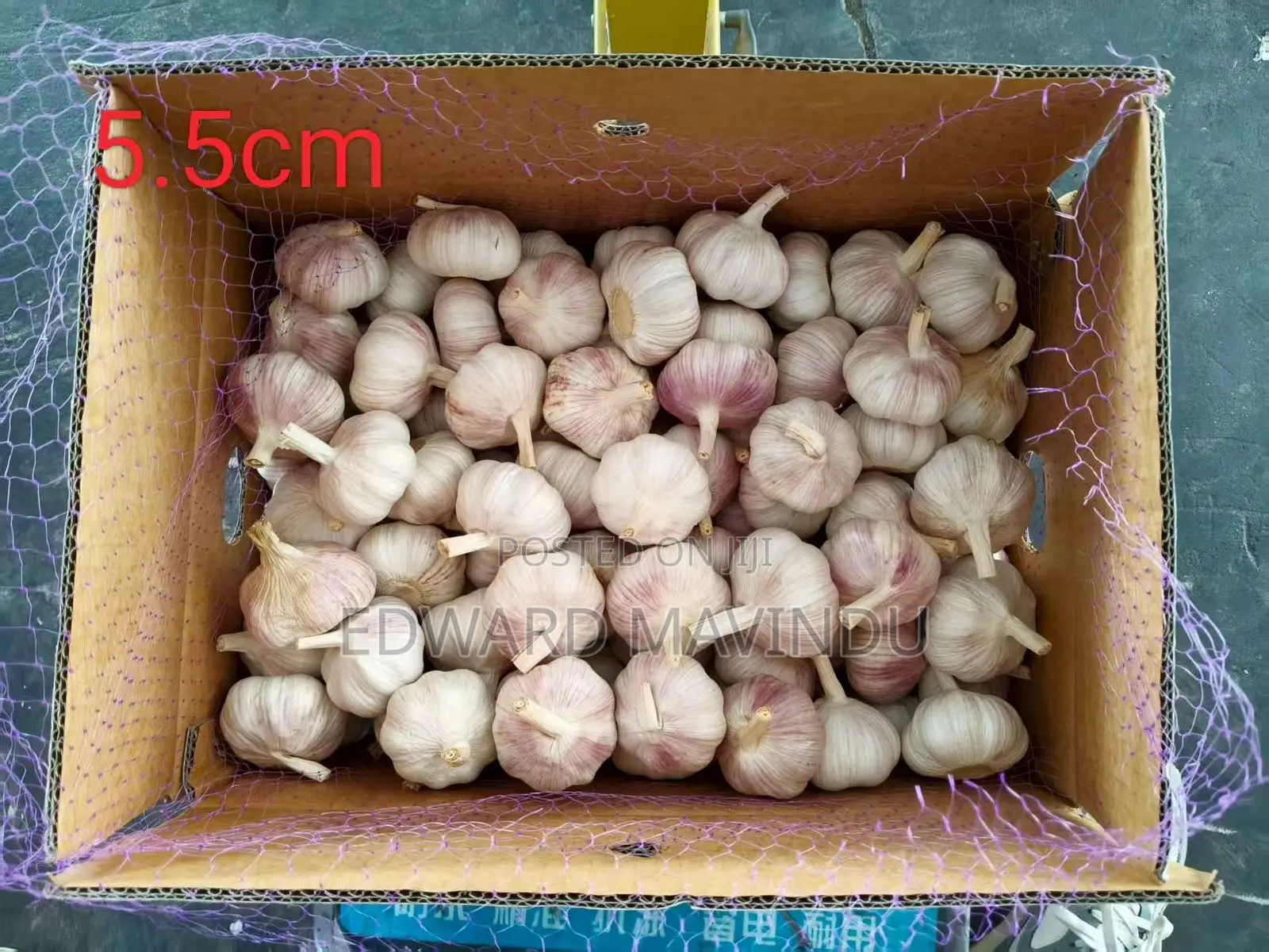 Imported Chinese Garlic