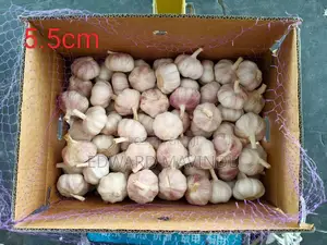Imported Chinese Garlic