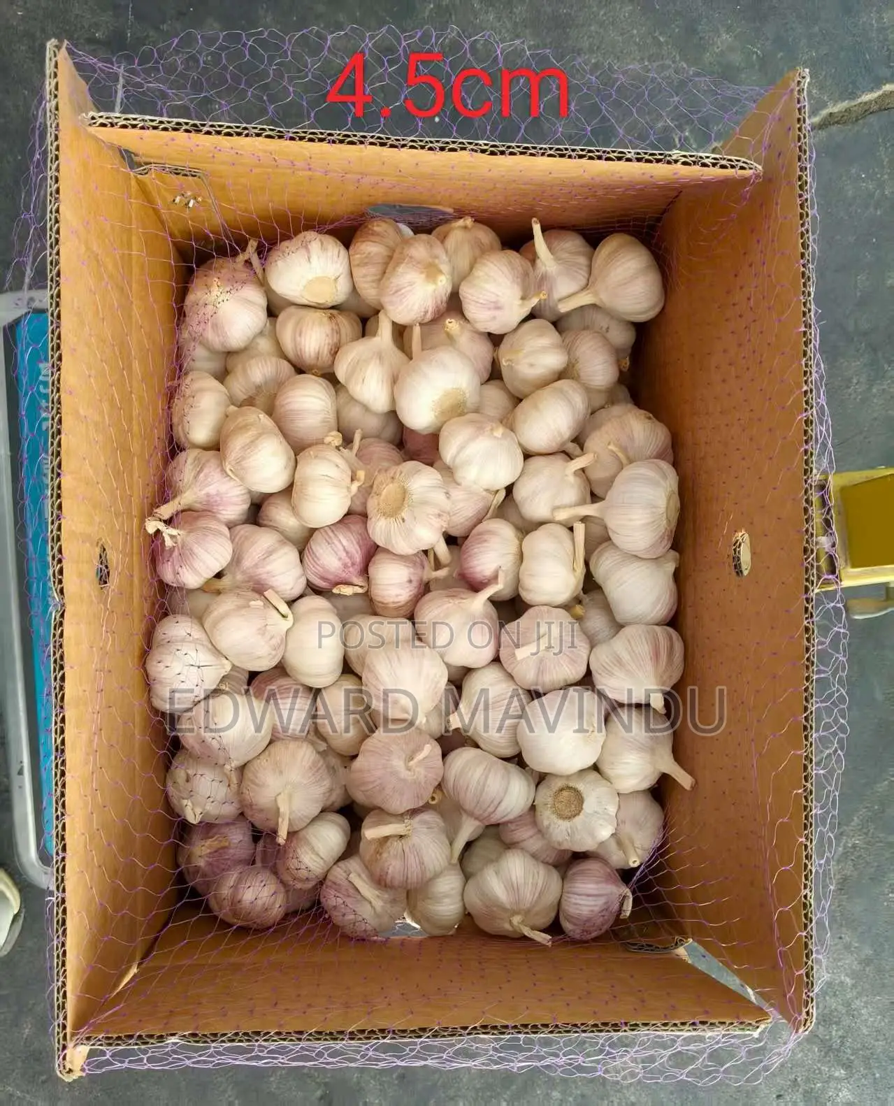 Imported Chinese Garlic