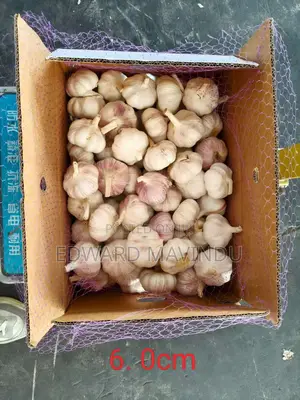Imported Chinese Garlic
