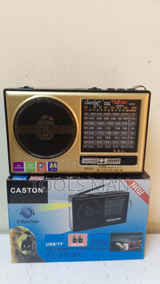 Caston St-377bt Portable Multi-Band Radio and Bt Music Player.