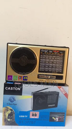Caston St-377bt Portable Multi-Band Radio and Bt Music Player.