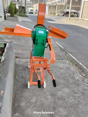 3 in 1 Chopper Grinder