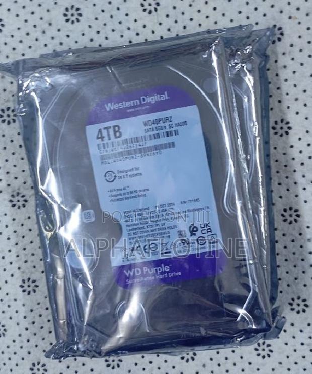 4-Tb Surveillance Internal Hard Disk Drive
