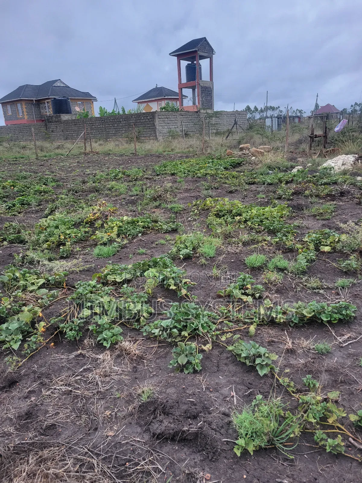 Plot for Sale in Joska Kausyiani
