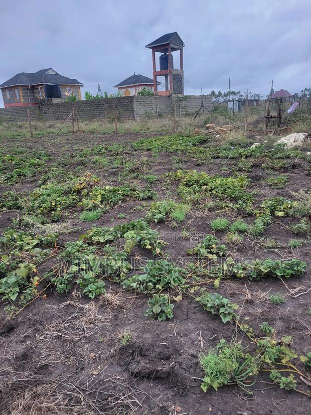 Plot for Sale in Joska Kausyiani - main view