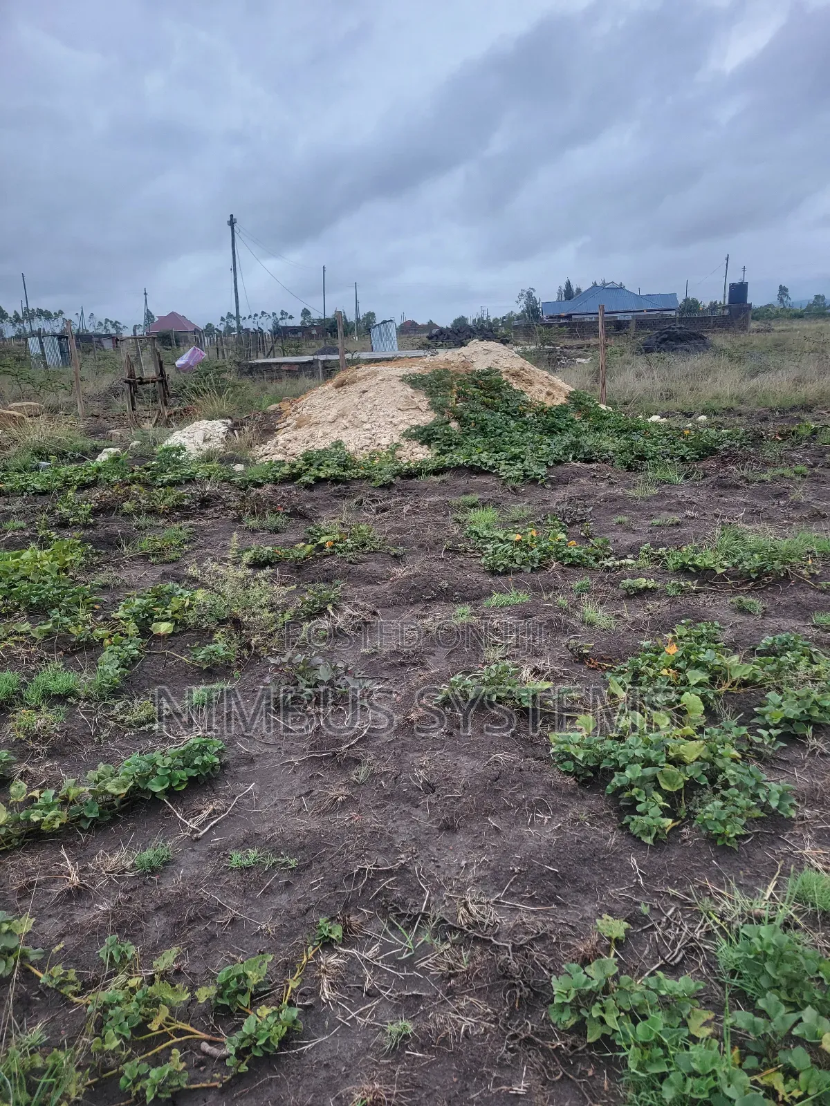 Plot for Sale in Joska Kausyiani