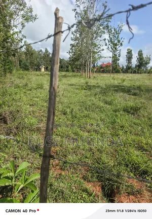 One Acre at Kisukioni