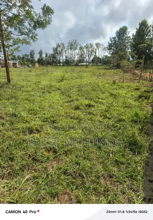 One Acre at Kisukioni
