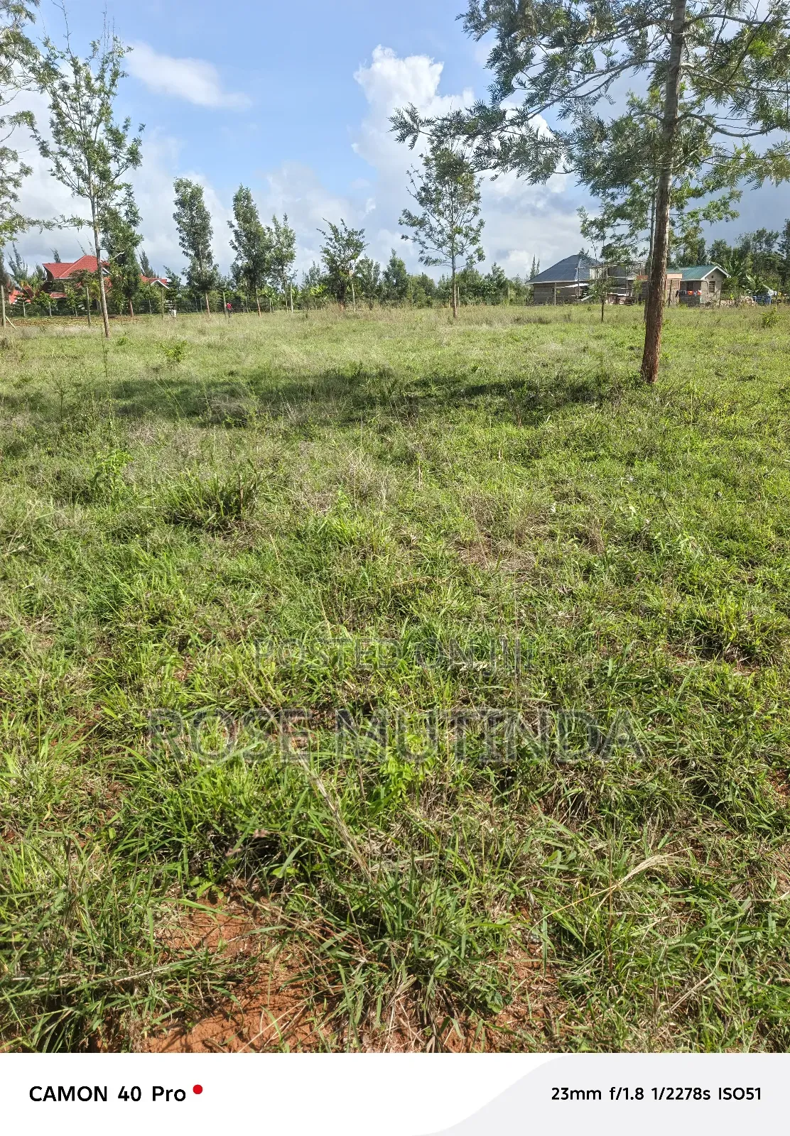 One Acre at Kisukioni