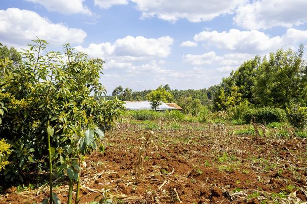 Commercial Property at Thigio - thumbnail 6