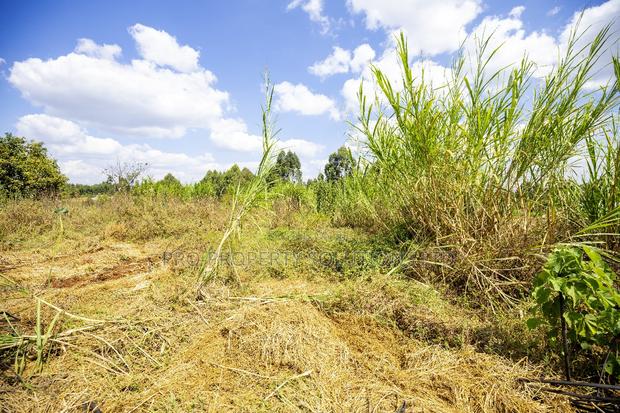 Commercial Property at Thigio - thumbnail 7