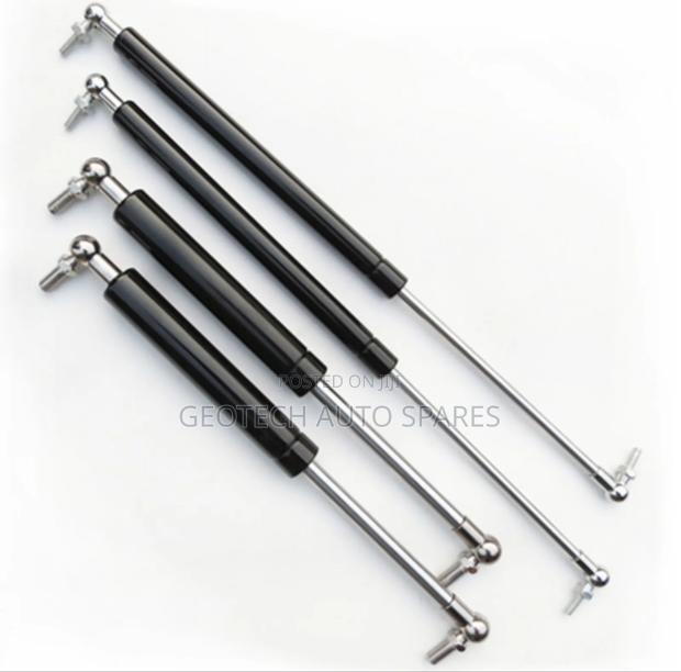 Toyota Mark X Bonnet Shocks - main view