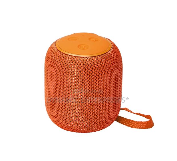 Caston St-915 Portable Wireless Speaker.