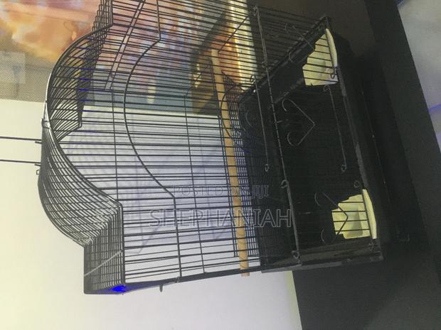 Bird Cage Medium Size - thumbnail 3