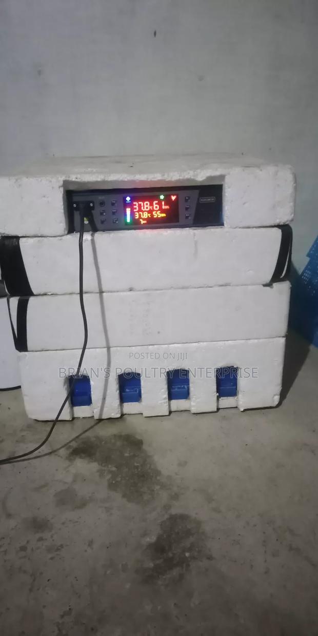 192 Egg Incubator for Sale