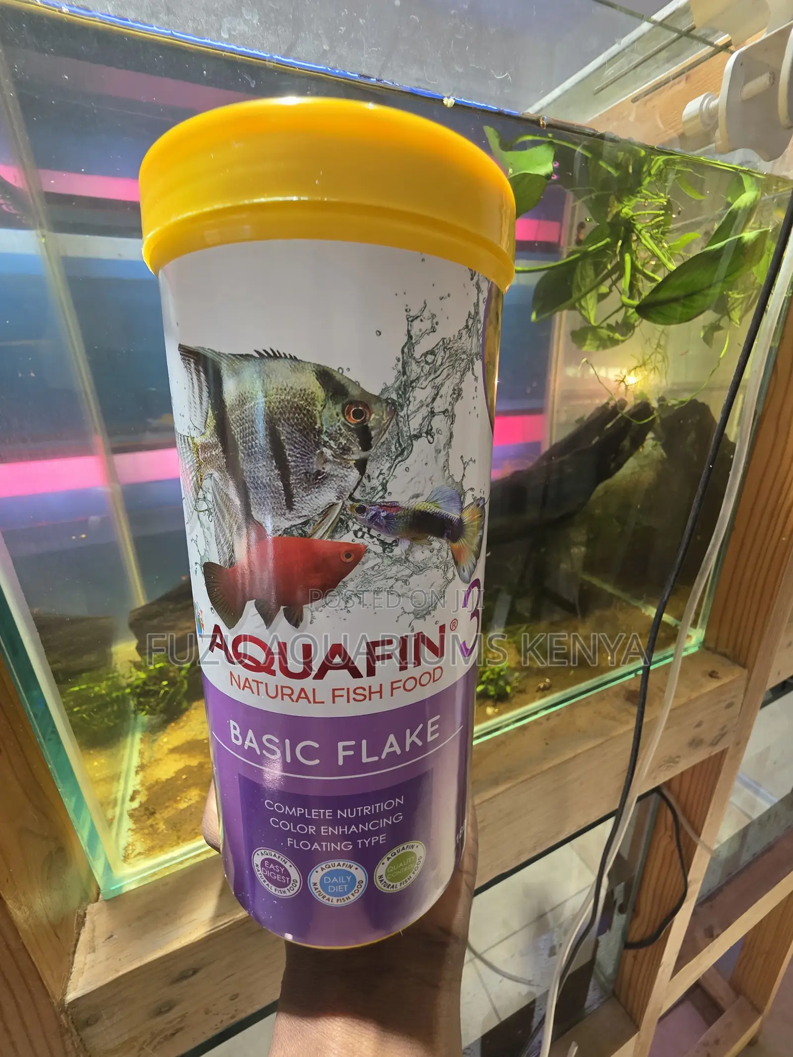 Healthyfin Tropical Flakes — Clean Feeding, Zero Clouding