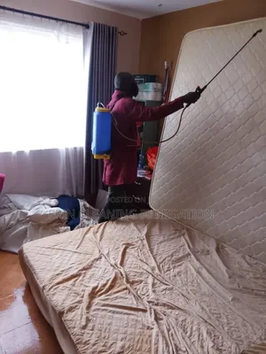 Trusted Cheap and Quick Fumigation Services