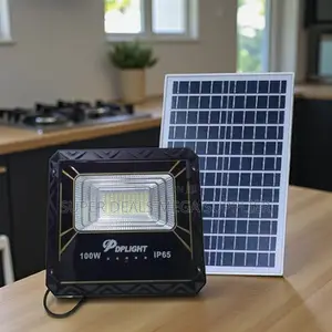 100w Solar Flood Light High Brightness Automatic Control Ip66 Rated