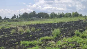 Plots for Sale in Mwea Makutano