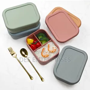Partitioned Leak Proof Silicone Lunch Box