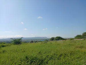 Plots for Sale