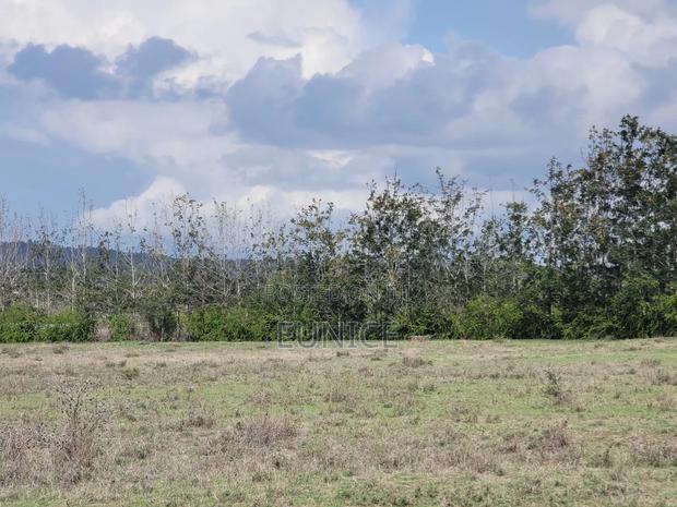 Plots For Sale Malaa - thumbnail 8