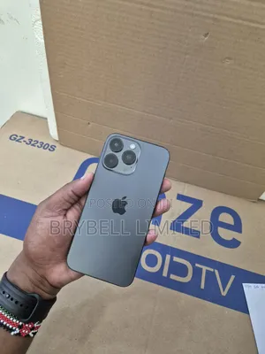 Apple iPhone 15 Pro Max 1 TB Gray