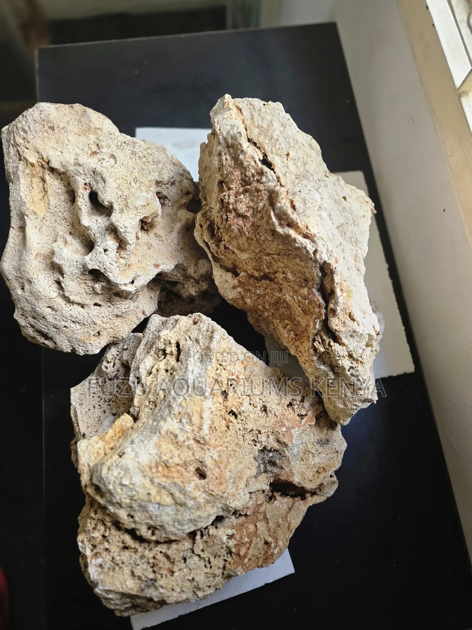 Aquarium Coral Rock Decor — Real Reef Stone for Beautiful Tank Layouts