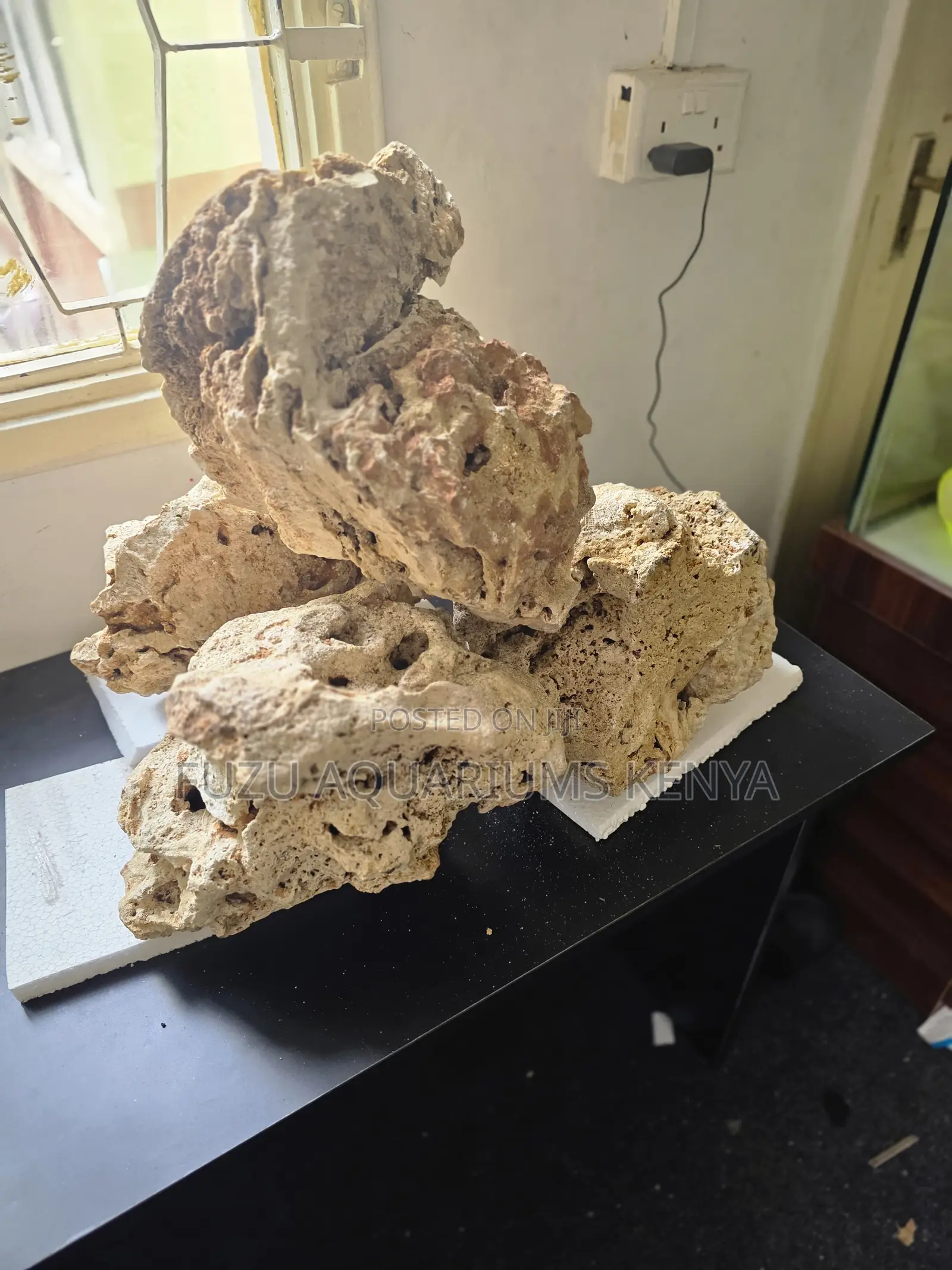 Natural Porous Coral Rock — Perfect for Aquascaping Fish Shelters