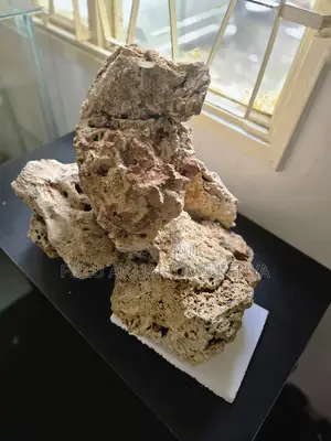 Decorative Coral Reef Rock — Realistic, Strong Aquarium-Safe