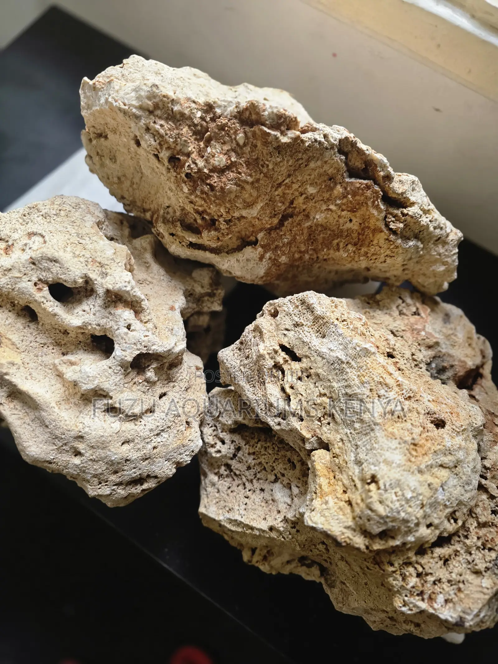 Large Porous Dry Coral Rock for Aquascaping