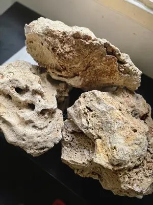 Large Porous Dry Coral Rock for Aquascaping