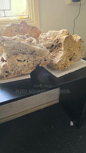 Premium Base Rock for All Aquariums - thumbnail 2