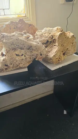 Premium Base Rock for All Aquariums
