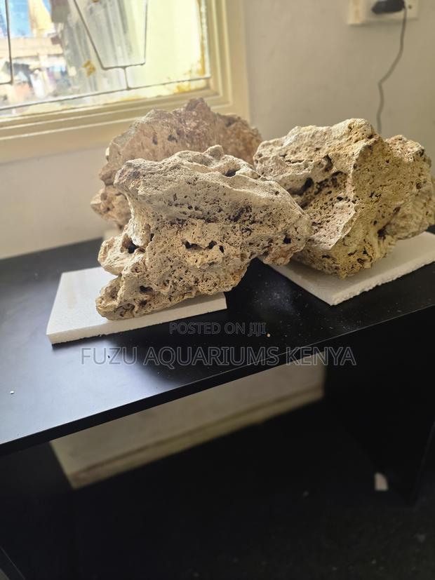 Natural Branching Dry Coral Skeleton Rock for Aquarium/Pond
