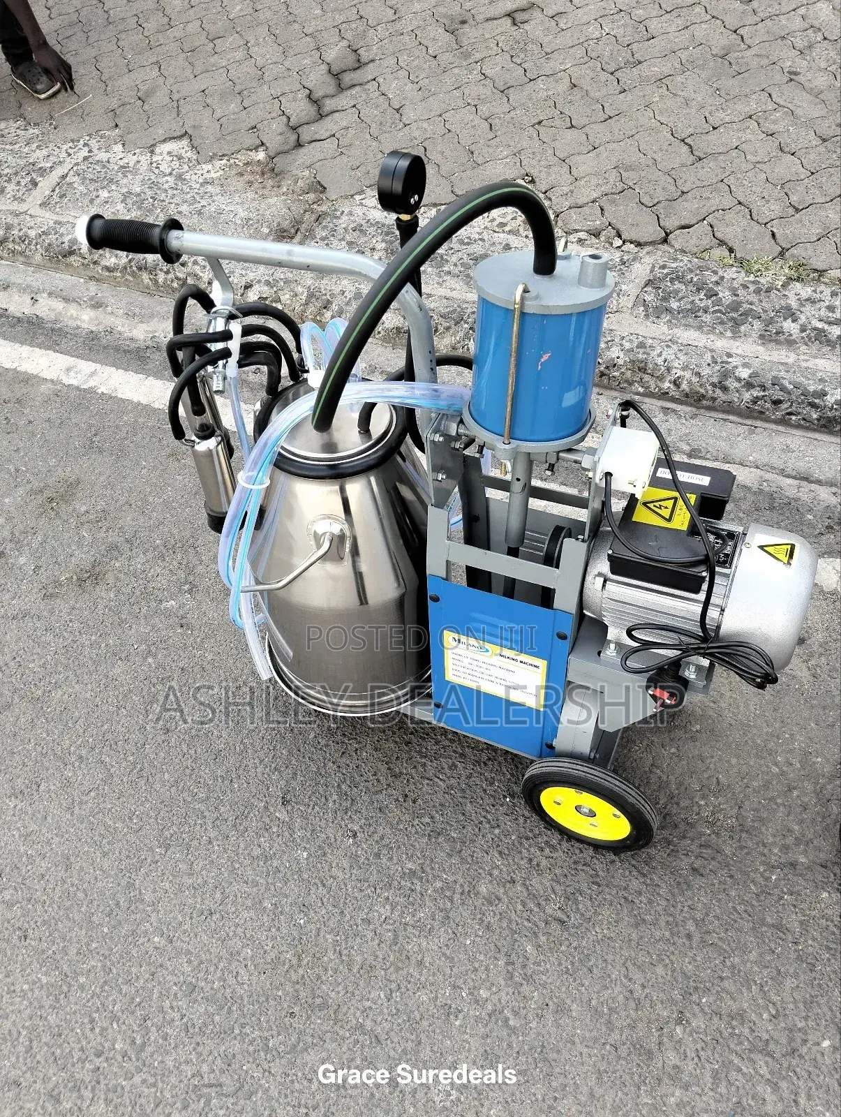 Cows Milking Machine