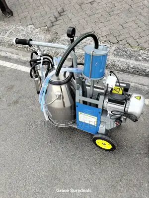 Cows Milking Machine
