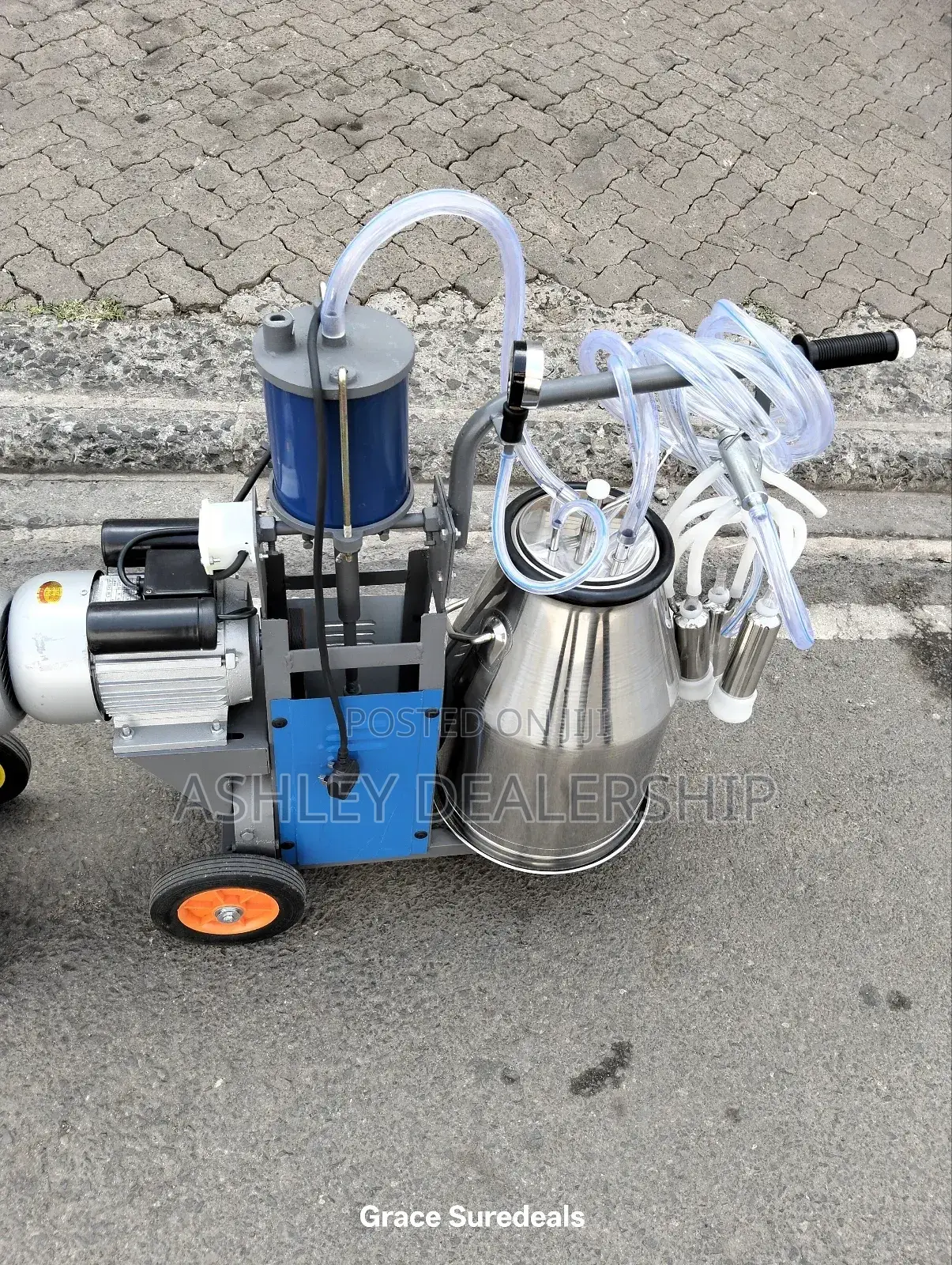 Cows Milking Machine
