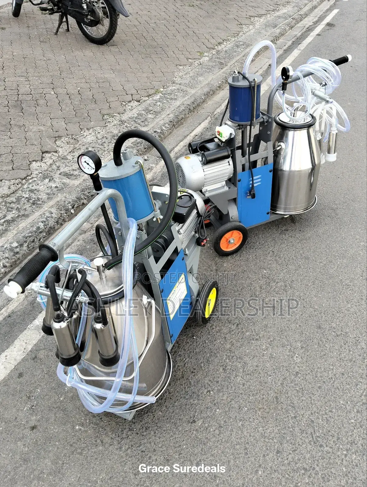 Cows Milking Machine