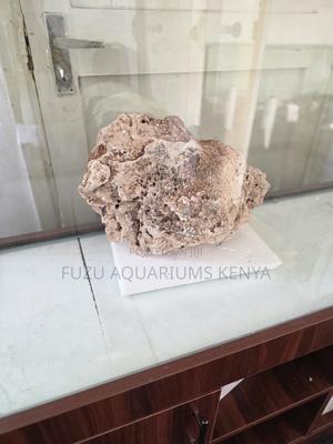 Colourful Soft Coral Reef Pieces for Marine Looking Aquarium - thumbnail 2