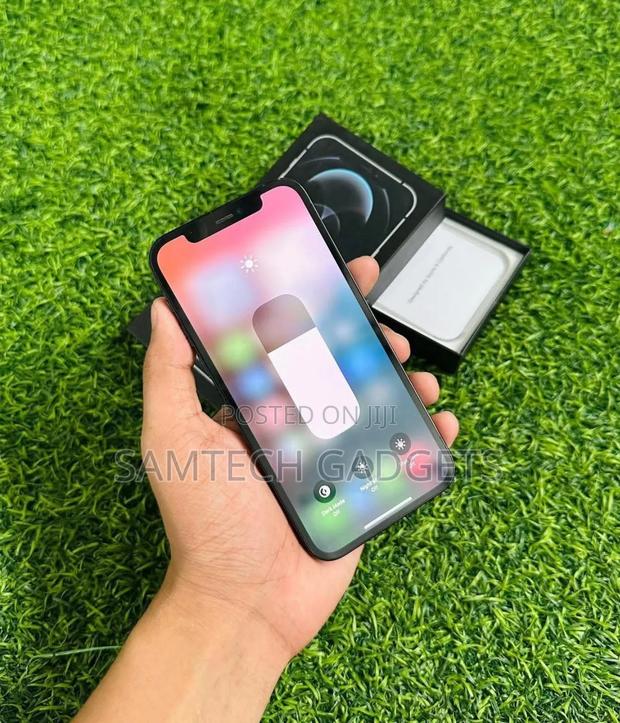 Apple iPhone 12 Pro 128 GB Gray - thumbnail 4