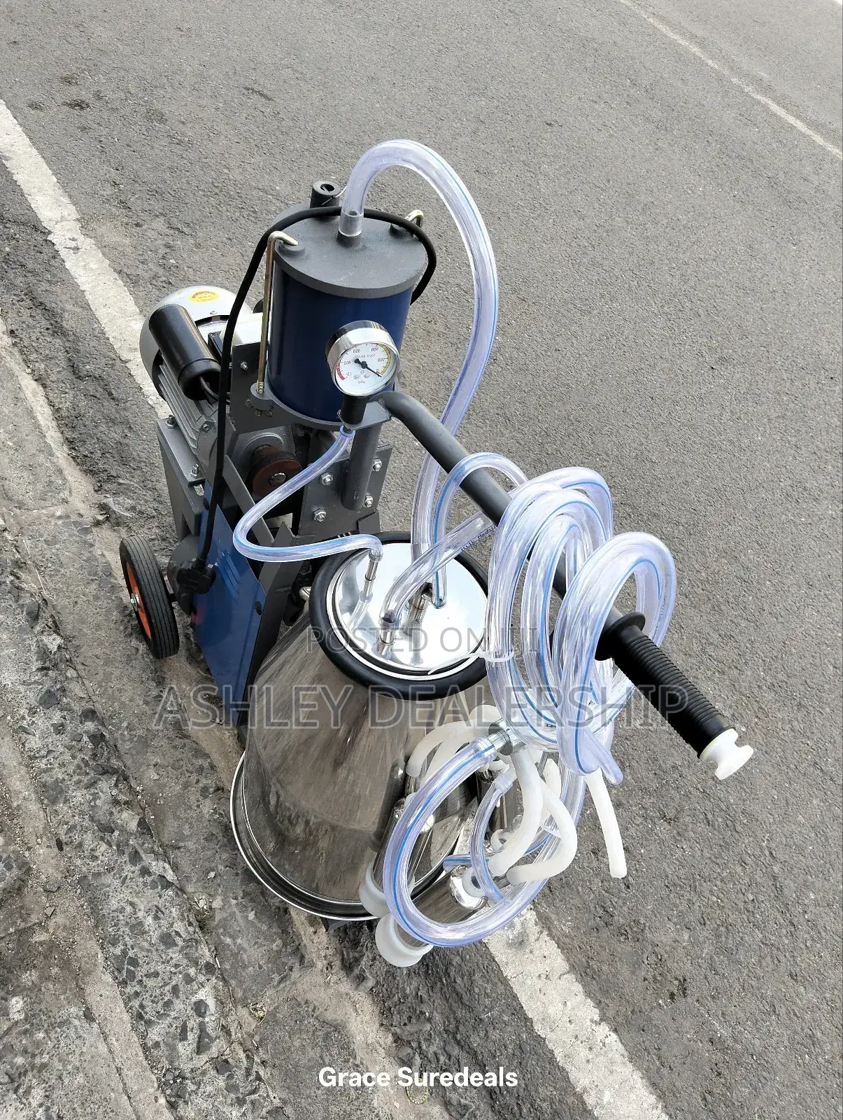 Milano Milking Machine