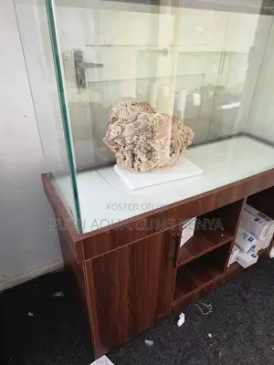 Live LPS Coral Frags – Perfect for Reef Builders, Make Your Aquarium