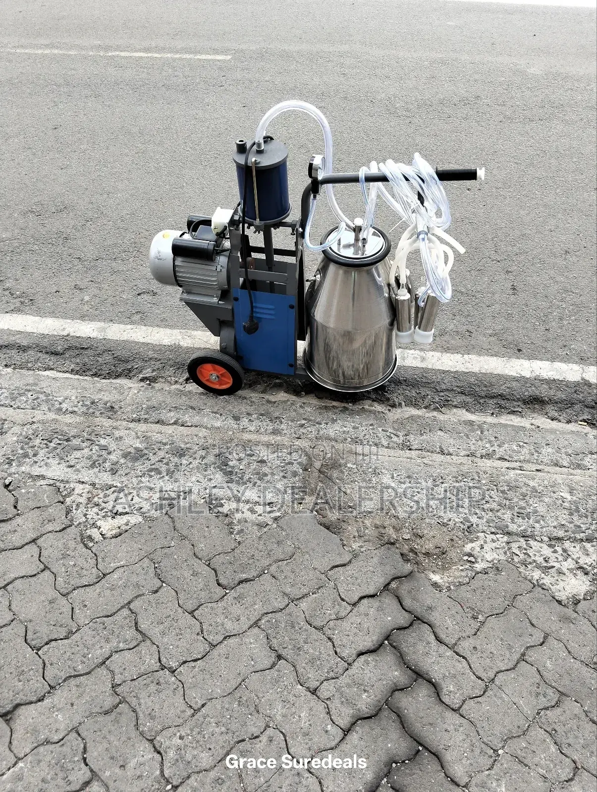 Milano Milking Machine